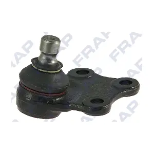F1264 FRAP