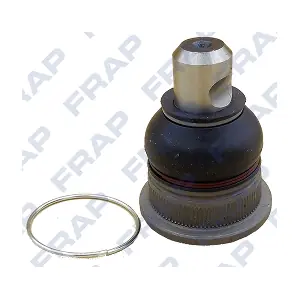 FRAP F5787