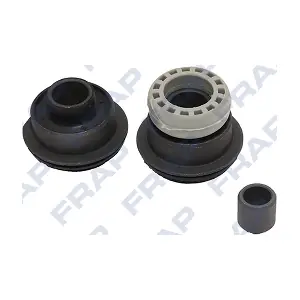 FRAP FSB13117