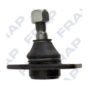 F1554 FRAP