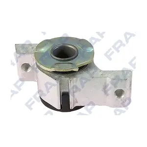 FSB22173 FRAP