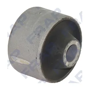 FRAP FSB21666