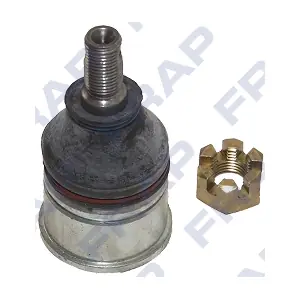 FRAP F1373
