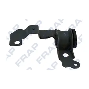 FSB21986 FRAP