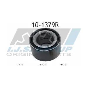 10-1379R IJS GROUP
