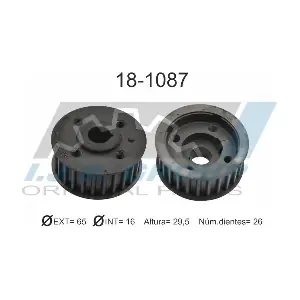IJS GROUP 18-1087