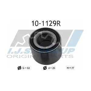 IJS GROUP 10-1129R