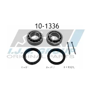 101336 IJS GROUP