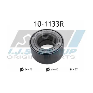 10-1133R IJS GROUP