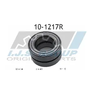 10-1217R IJS GROUP