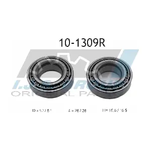 10-1309R IJS GROUP