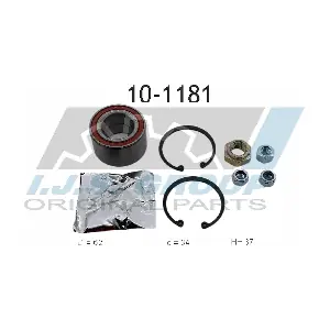 IJS GROUP 10-1181