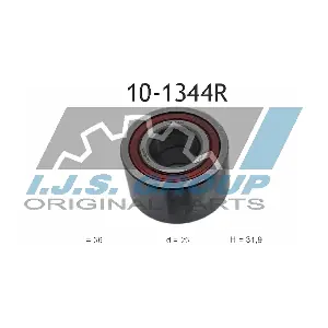 10-1344R IJS GROUP