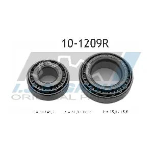 IJS GROUP 10-1209R