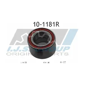 IJS GROUP 10-1181R