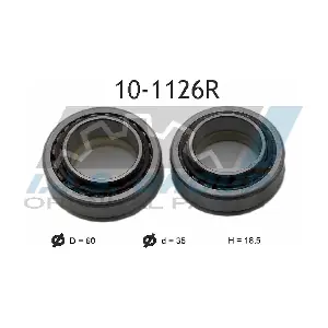 10-1126R IJS GROUP