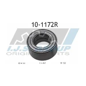 10-1172R IJS GROUP