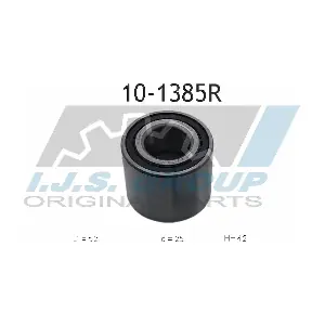 10-1385R IJS GROUP