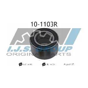 IJS GROUP 10-1103R