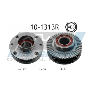 IJS GROUP 10-1313R