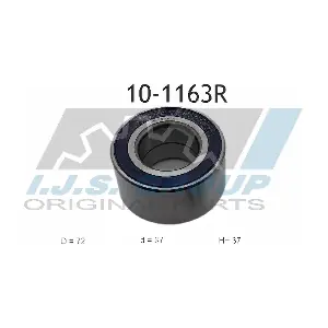IJS GROUP 10-1163R