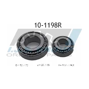10-1198R IJS GROUP