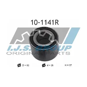 IJS GROUP 10-1141R