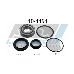 IJS GROUP 10-1191 Комплект подшипника ступицы колеса