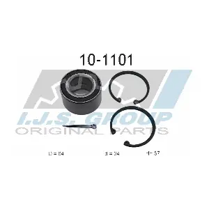 IJS GROUP 10-1101