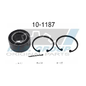 IJS GROUP 10-1187