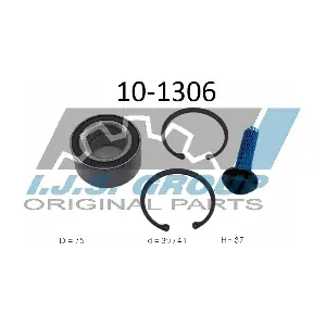IJS GROUP 10-1306