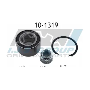 10-1319 IJS GROUP