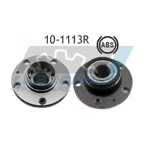 IJS GROUP 10-1113R