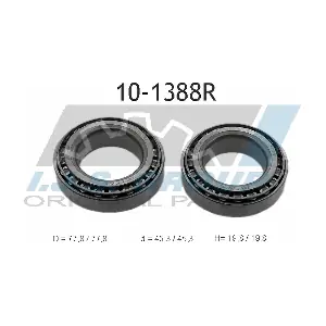 10-1388R IJS GROUP