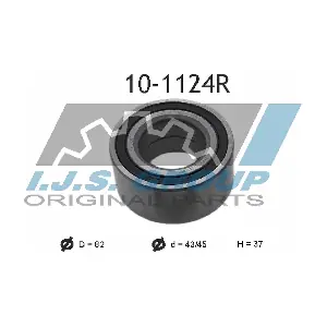 IJS GROUP 10-1124R