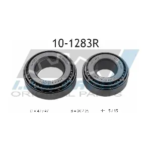 10-1283R IJS GROUP