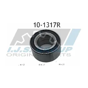 10-1317R IJS GROUP