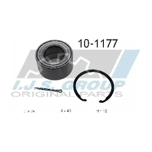 10-1177 IJS GROUP