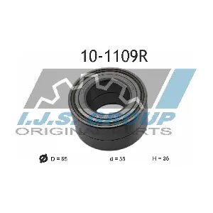 IJS GROUP 10-1109R