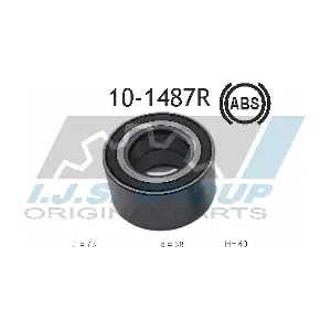 10-1487R IJS GROUP
