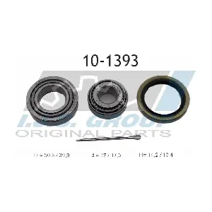 IJS GROUP 10-1393