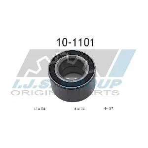 IJS GROUP 10-1101R