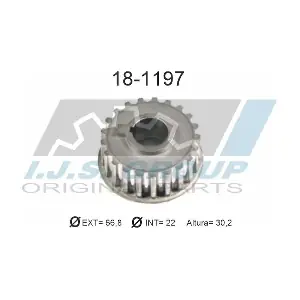 181197 IJS GROUP