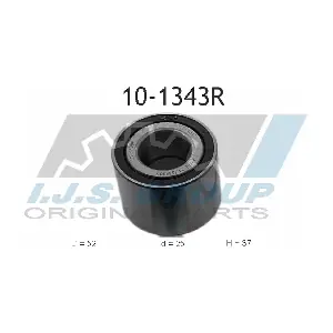 IJS GROUP 10-1343R