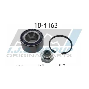IJS GROUP 10-1163