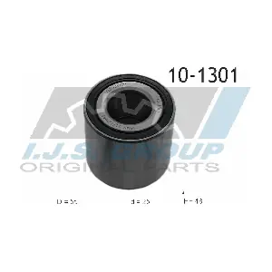 10-1301R IJS GROUP