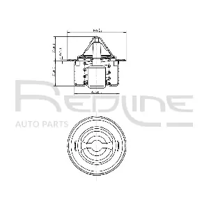 RED-LINE 55CV000