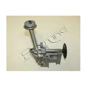 31NI004 RED-LINE