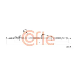 170369 COFLE