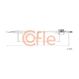11.2441 COFLE